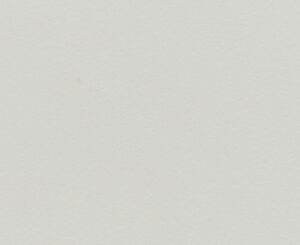 Seal Grey